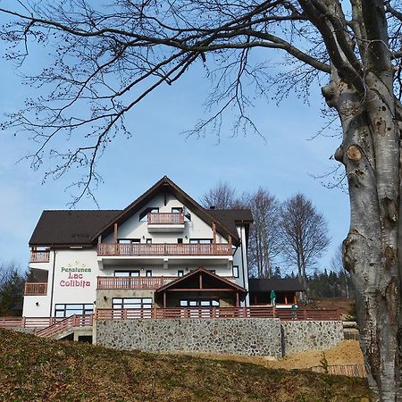 Pensiunea Lac Colibiţa Eksteriør billede